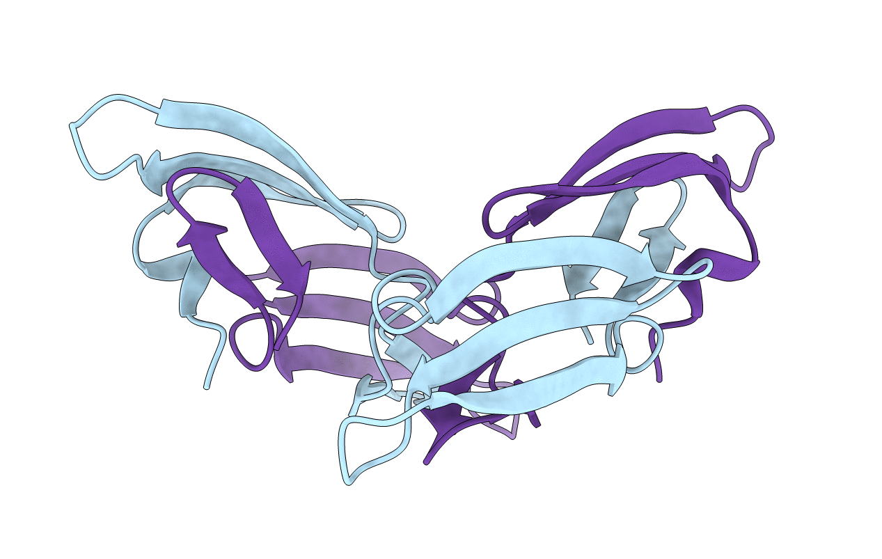 1L5E image