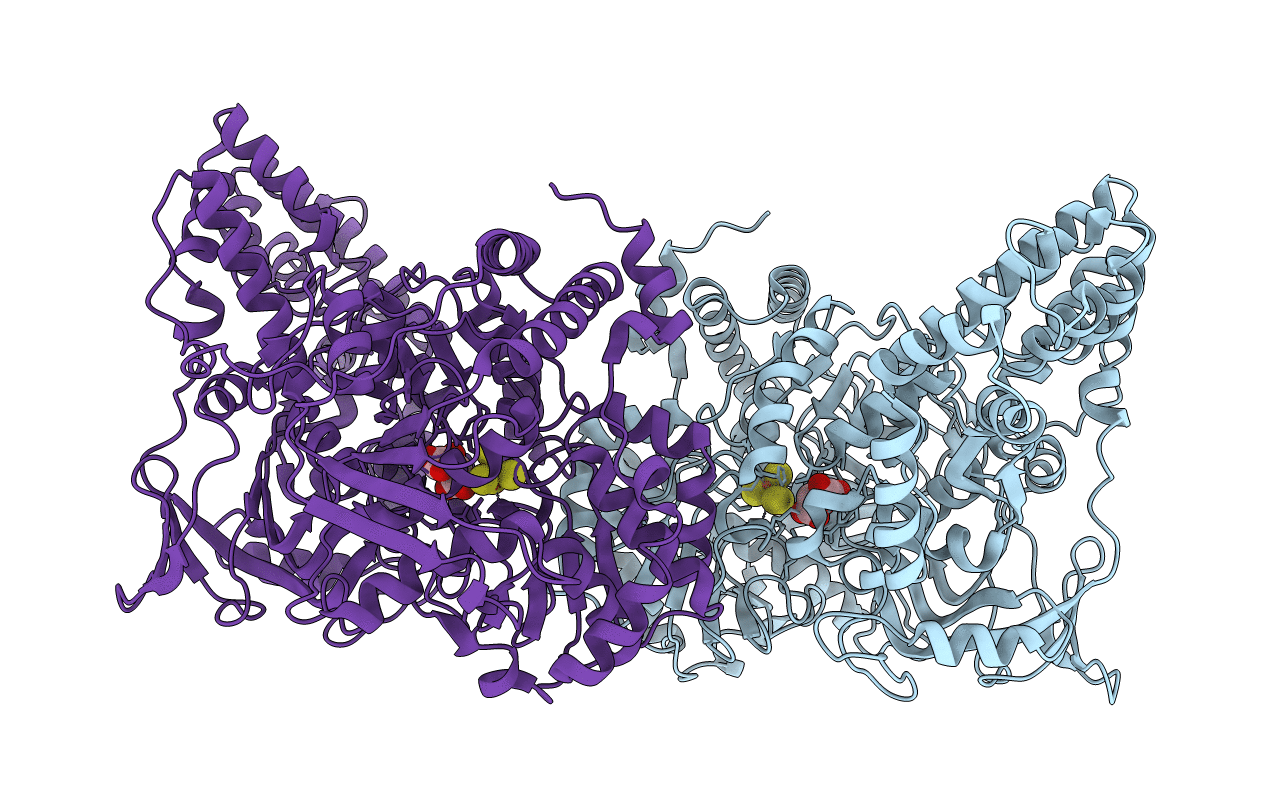 1L5J image