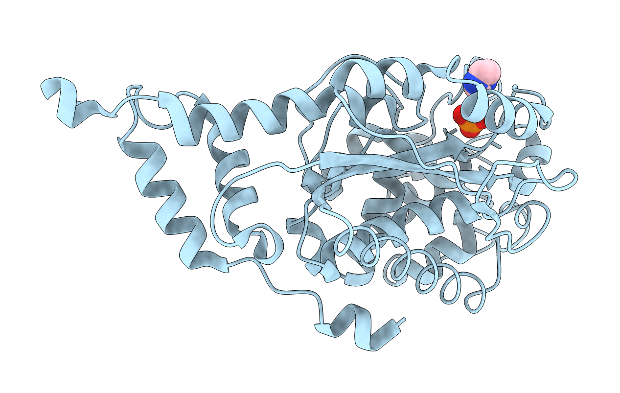 1L5N image