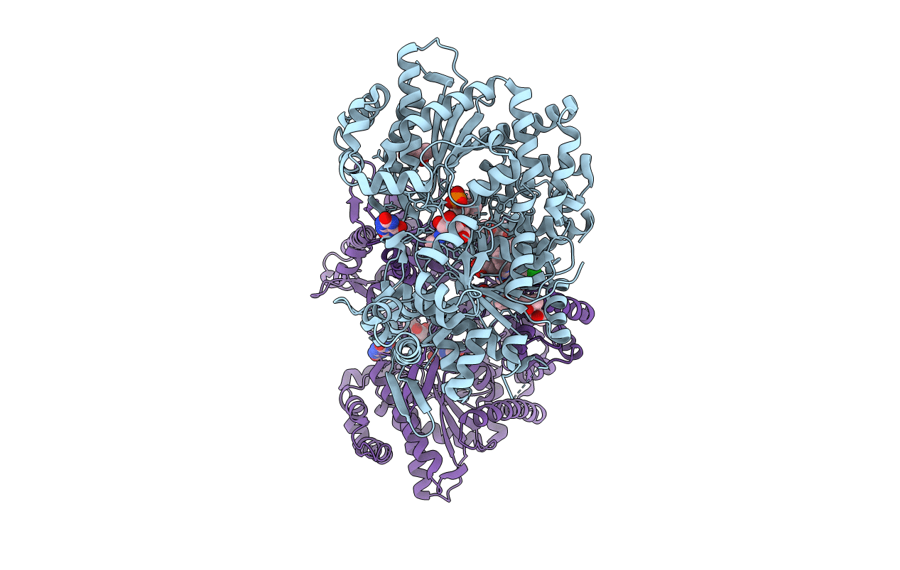 1L5S image