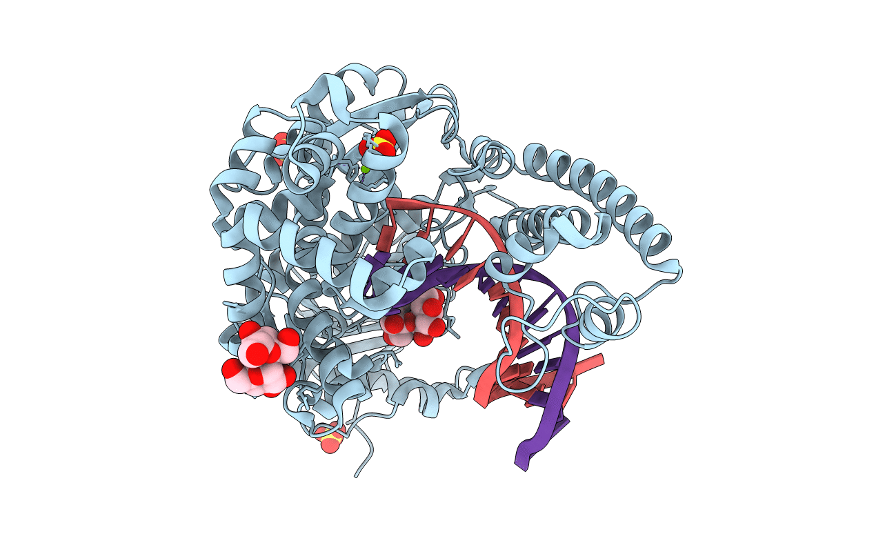 1L5U image