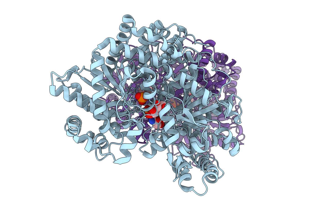 1L5V image