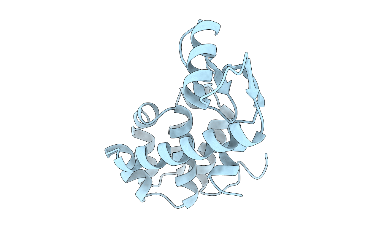 1L60 image