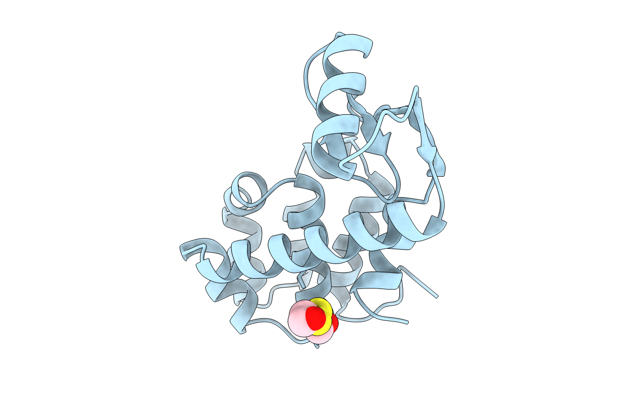1L63 image