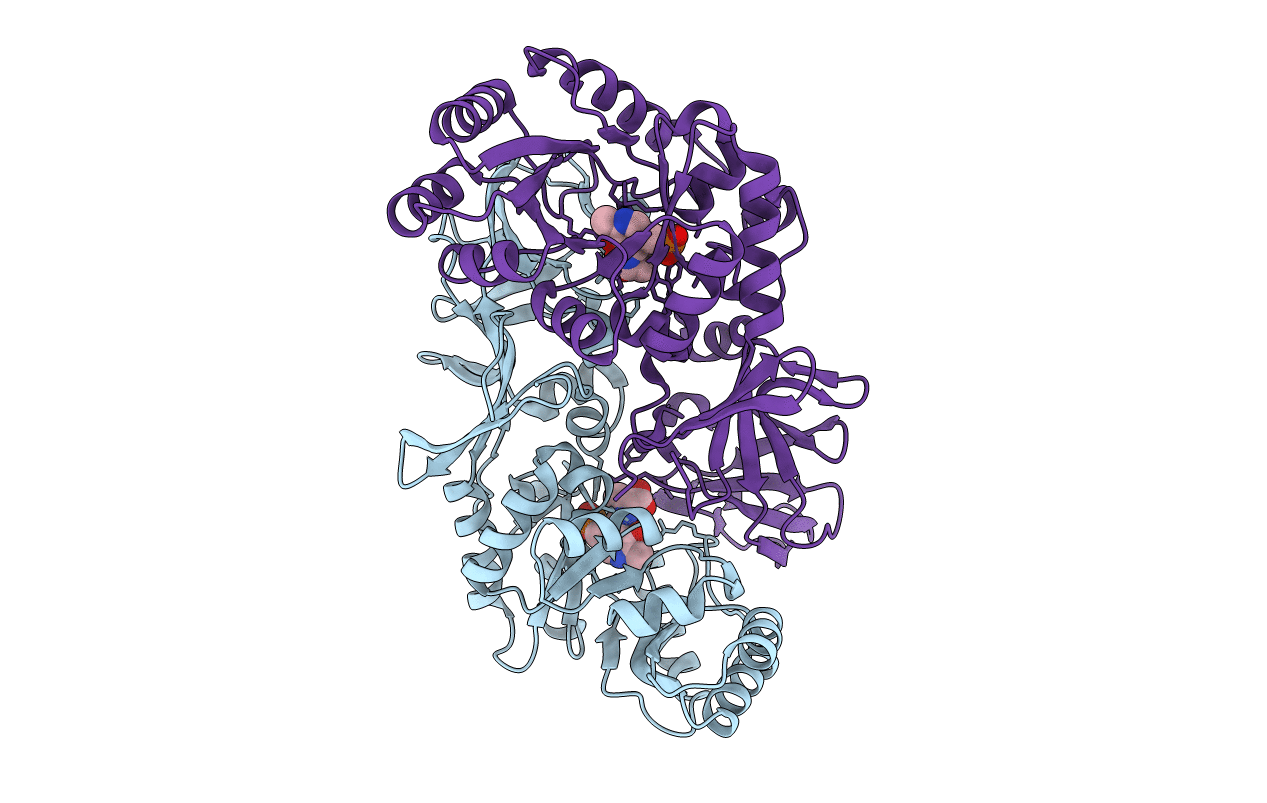 1L6G image