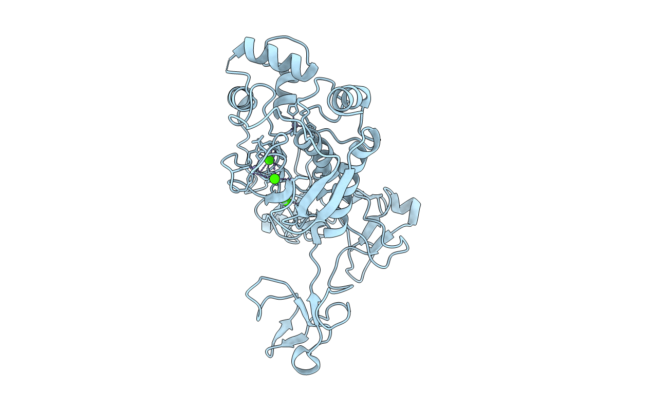 1L6J image