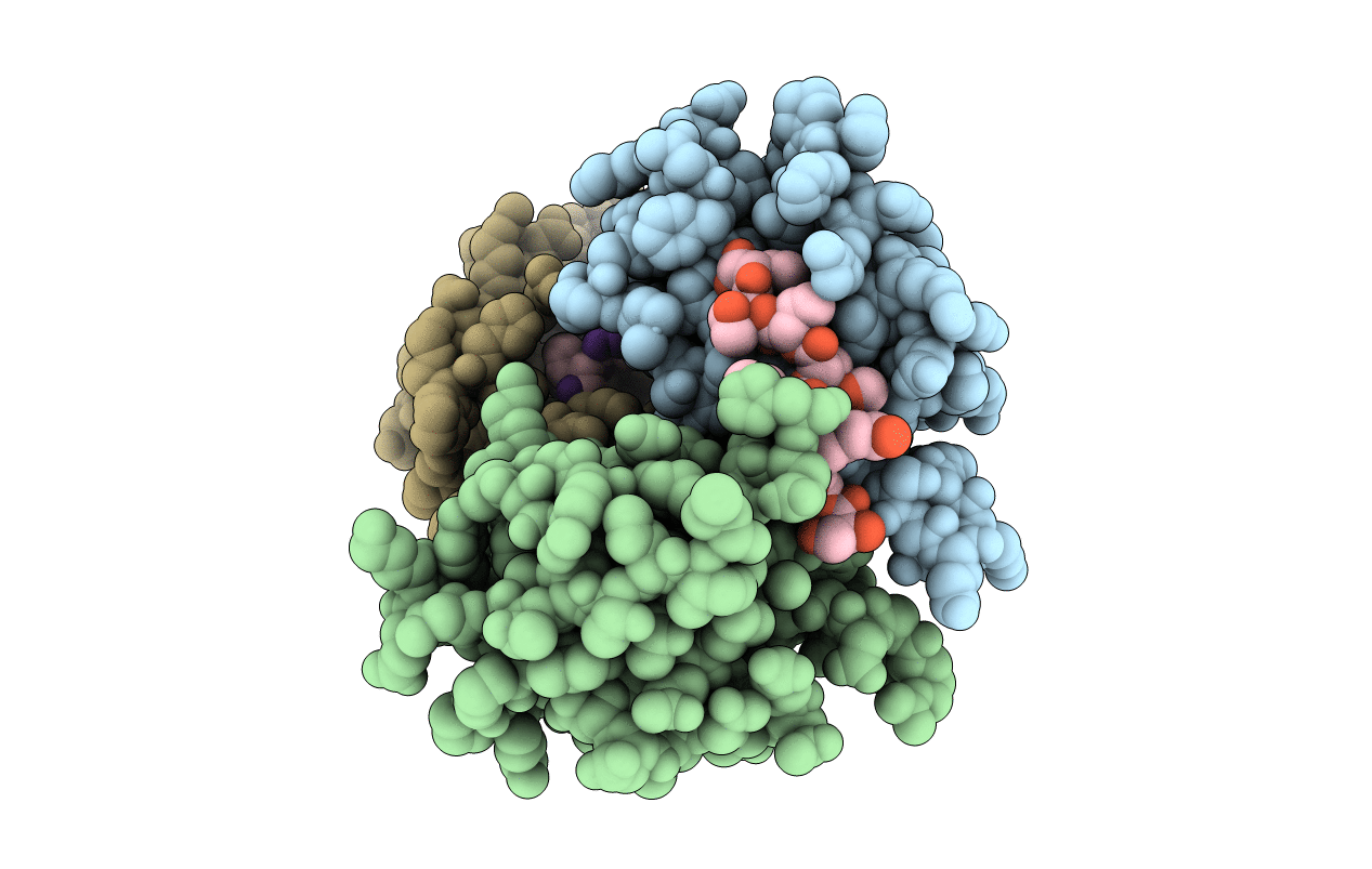 1L6O image