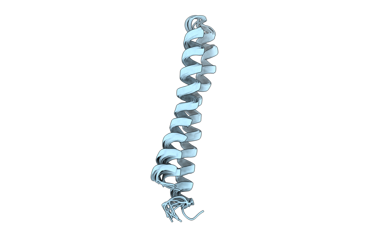 1L6T image