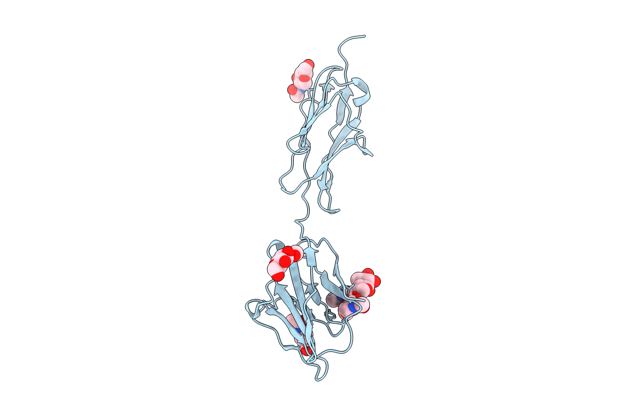 1L6Z image