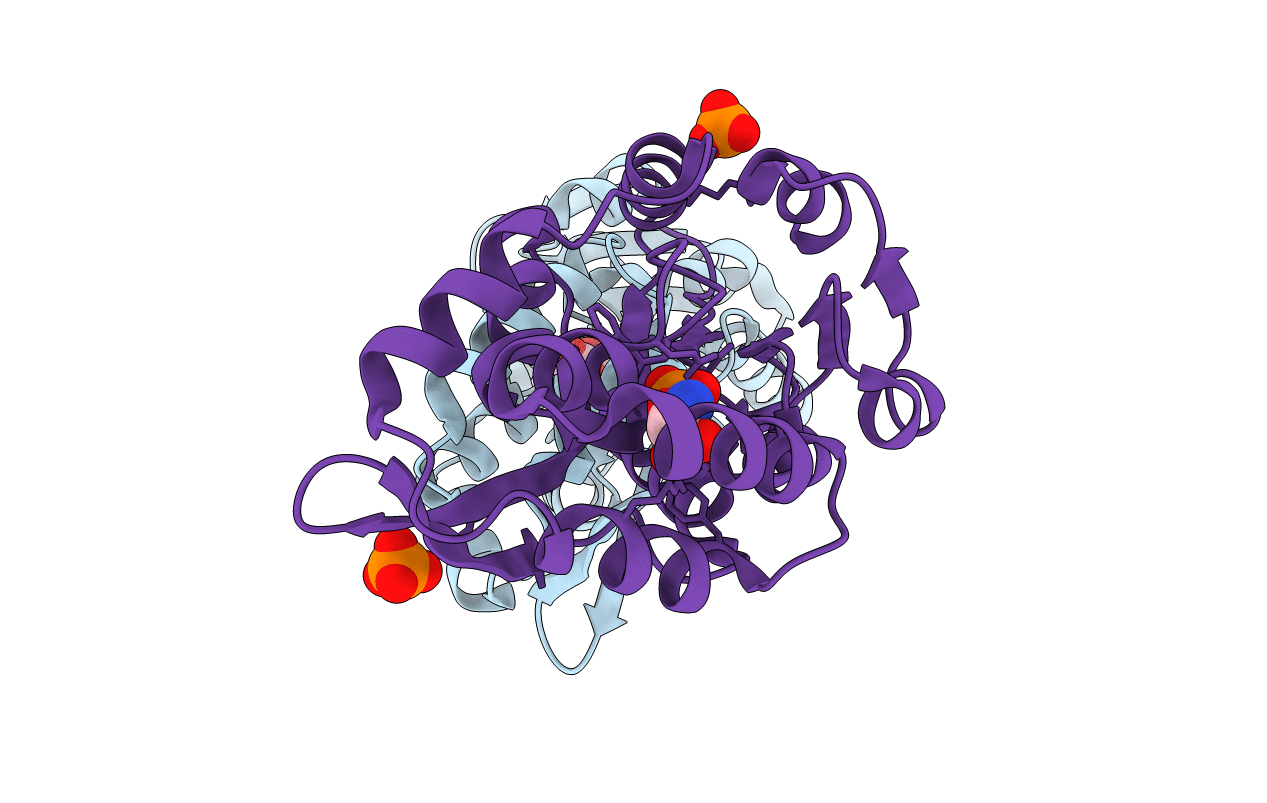 1L7P image