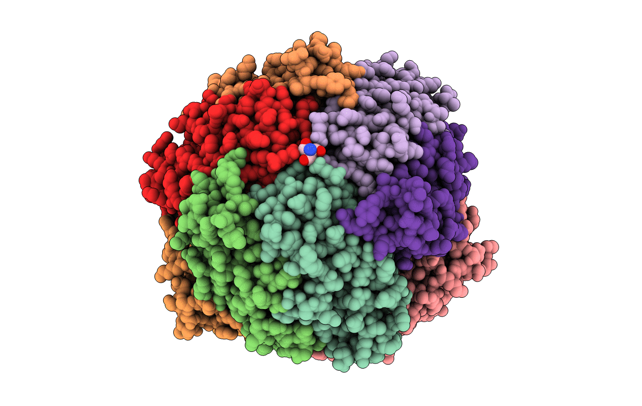 1L8I image