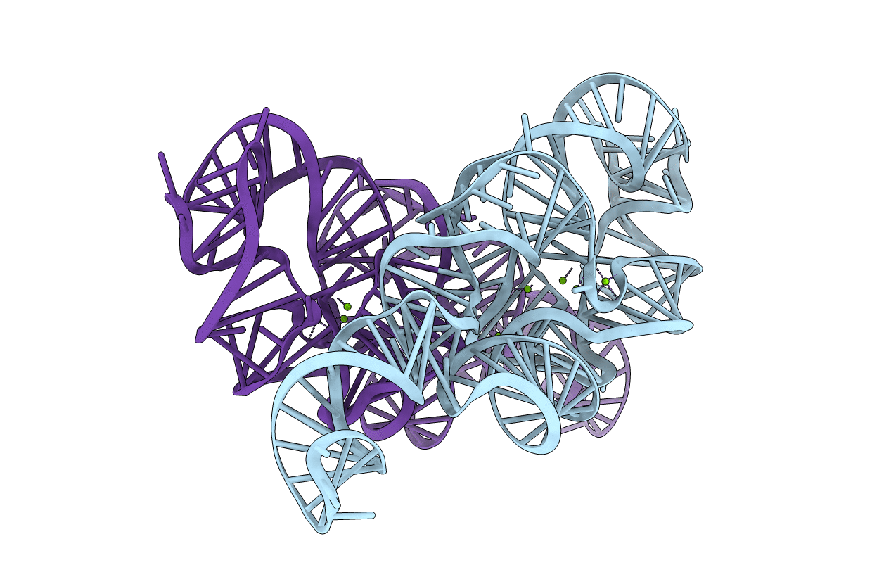 1L8V image