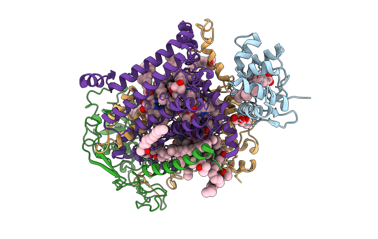 1L9B image