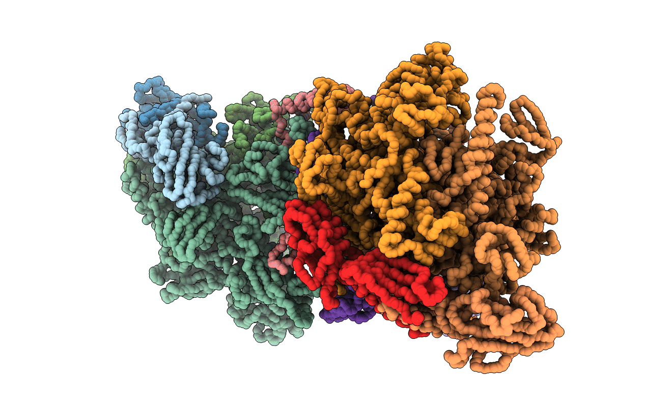 1L9U image