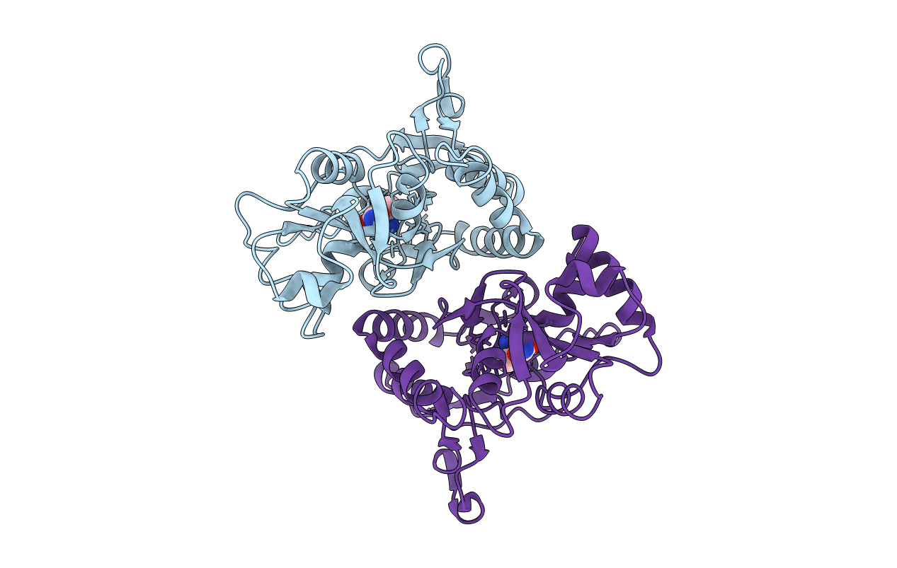 1LB8 image