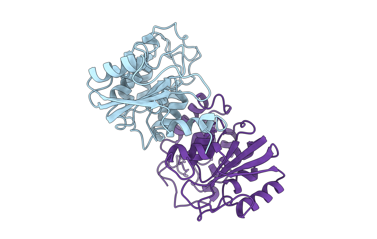1LBE image