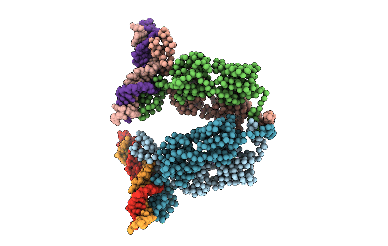1LBG image