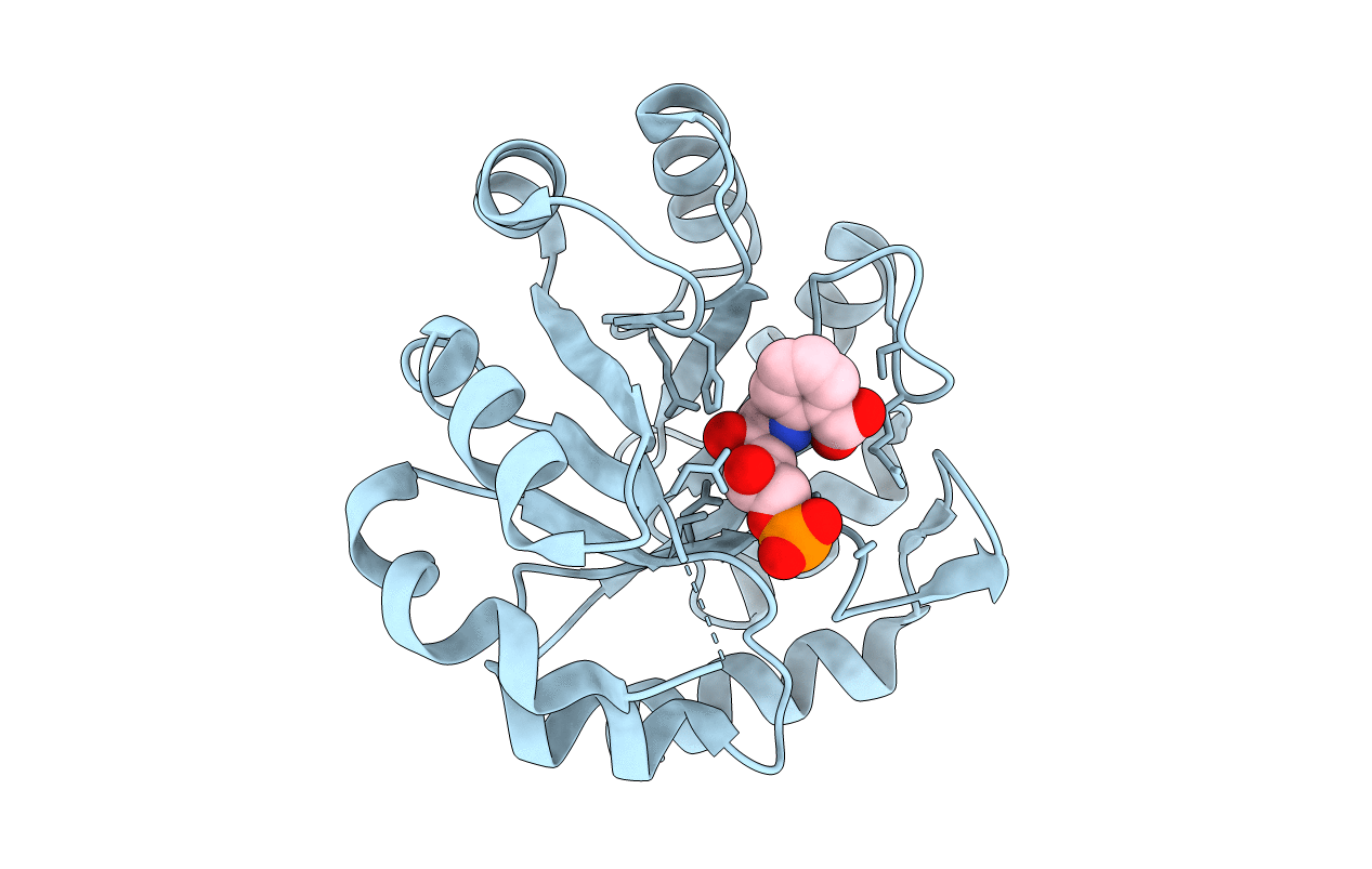 1LBM image