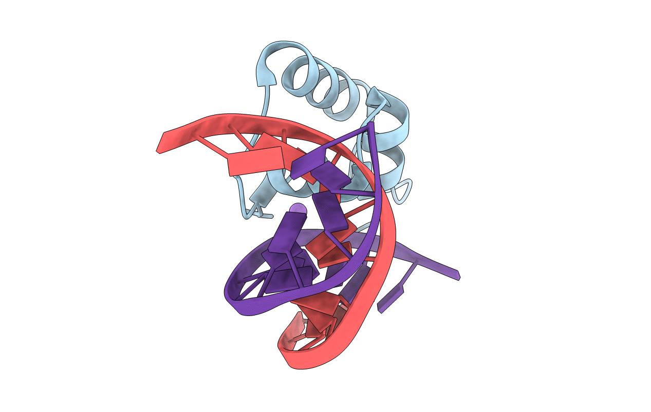 1LCC image