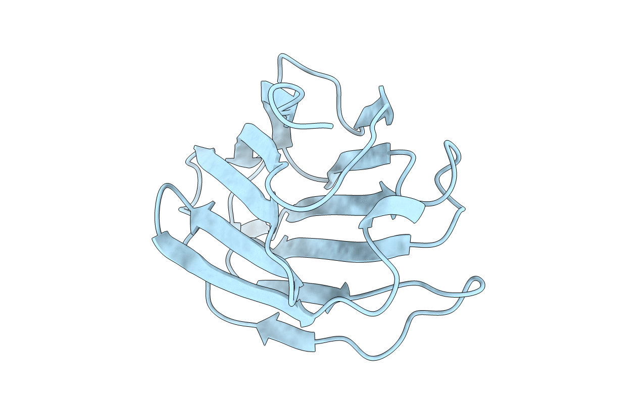 1LCL image