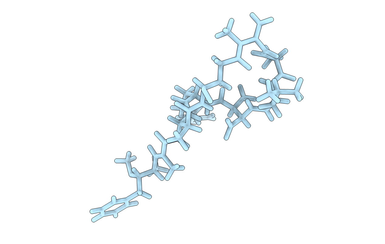 1LCM image