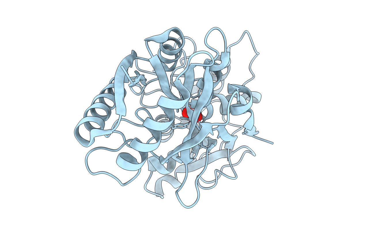 1lct image