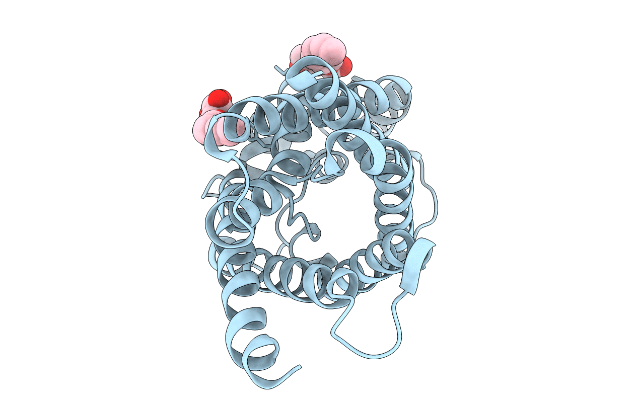 1LDA image