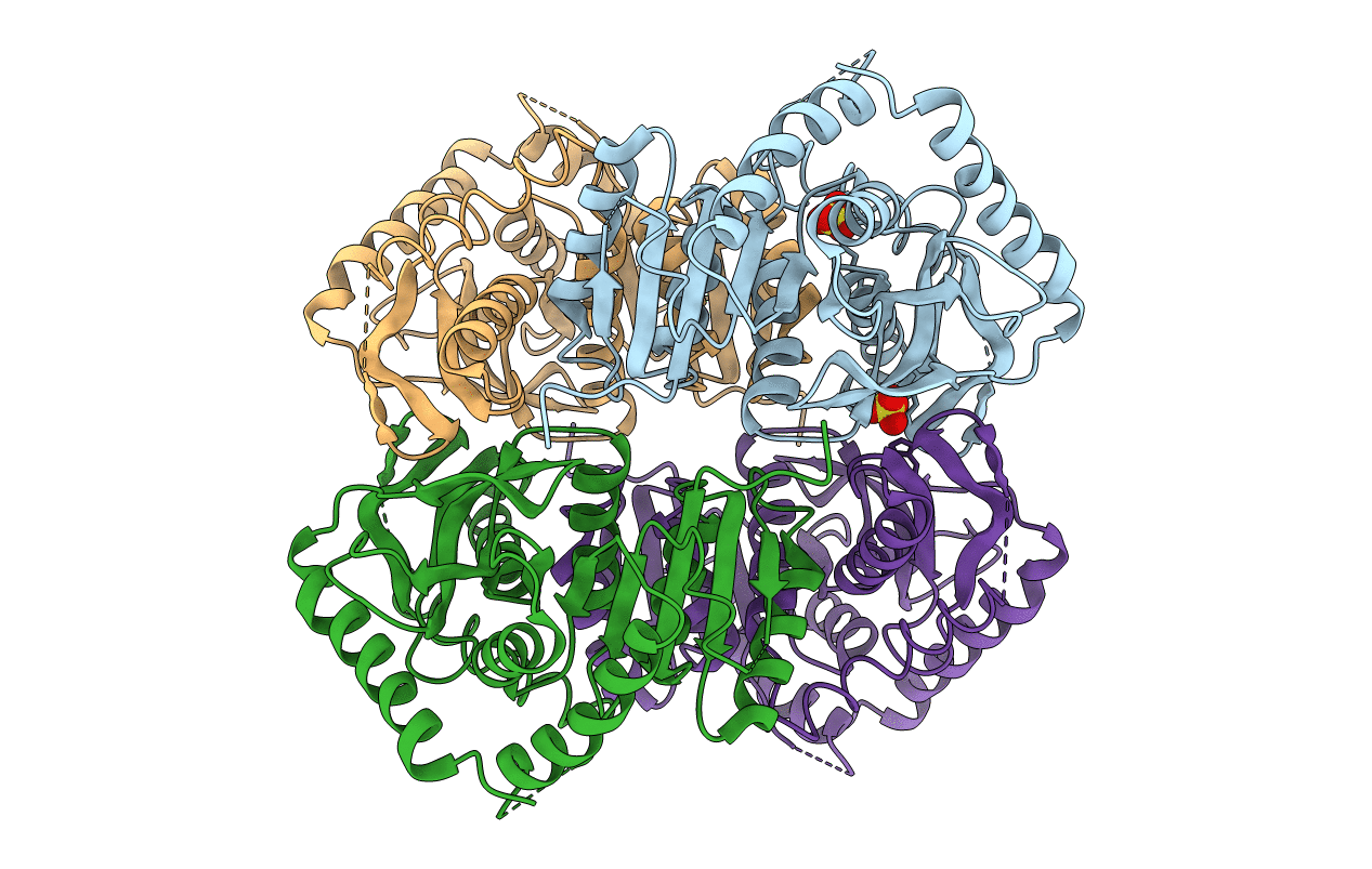 1LDB image