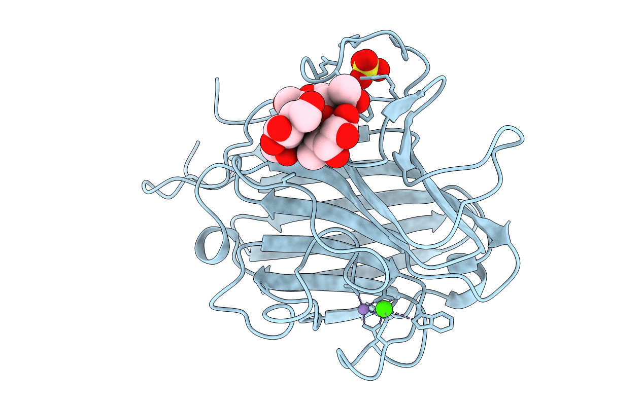 1LEC image