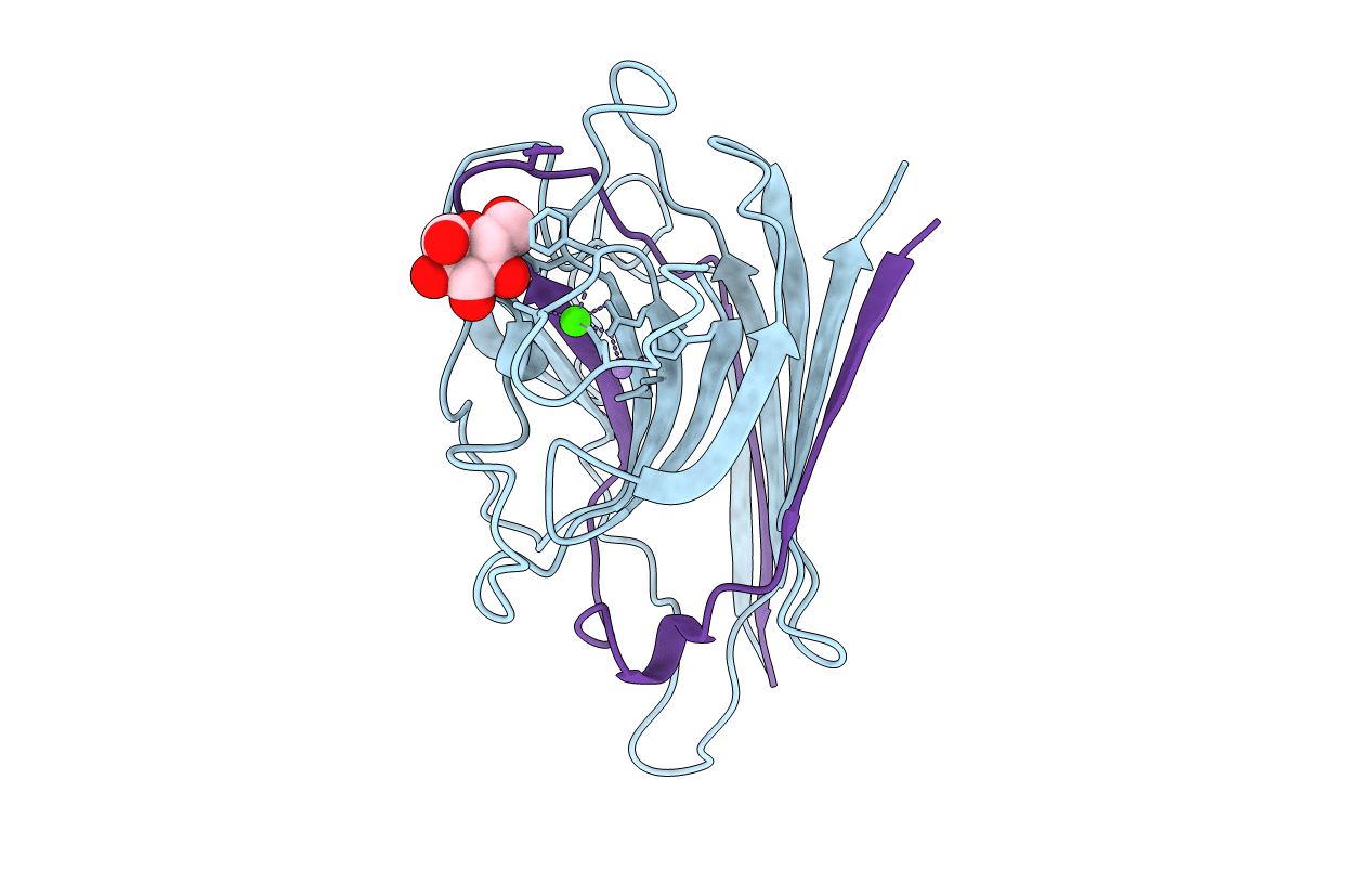 1LEM image