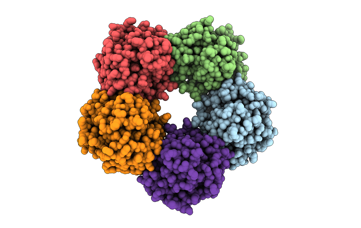 1LGN image