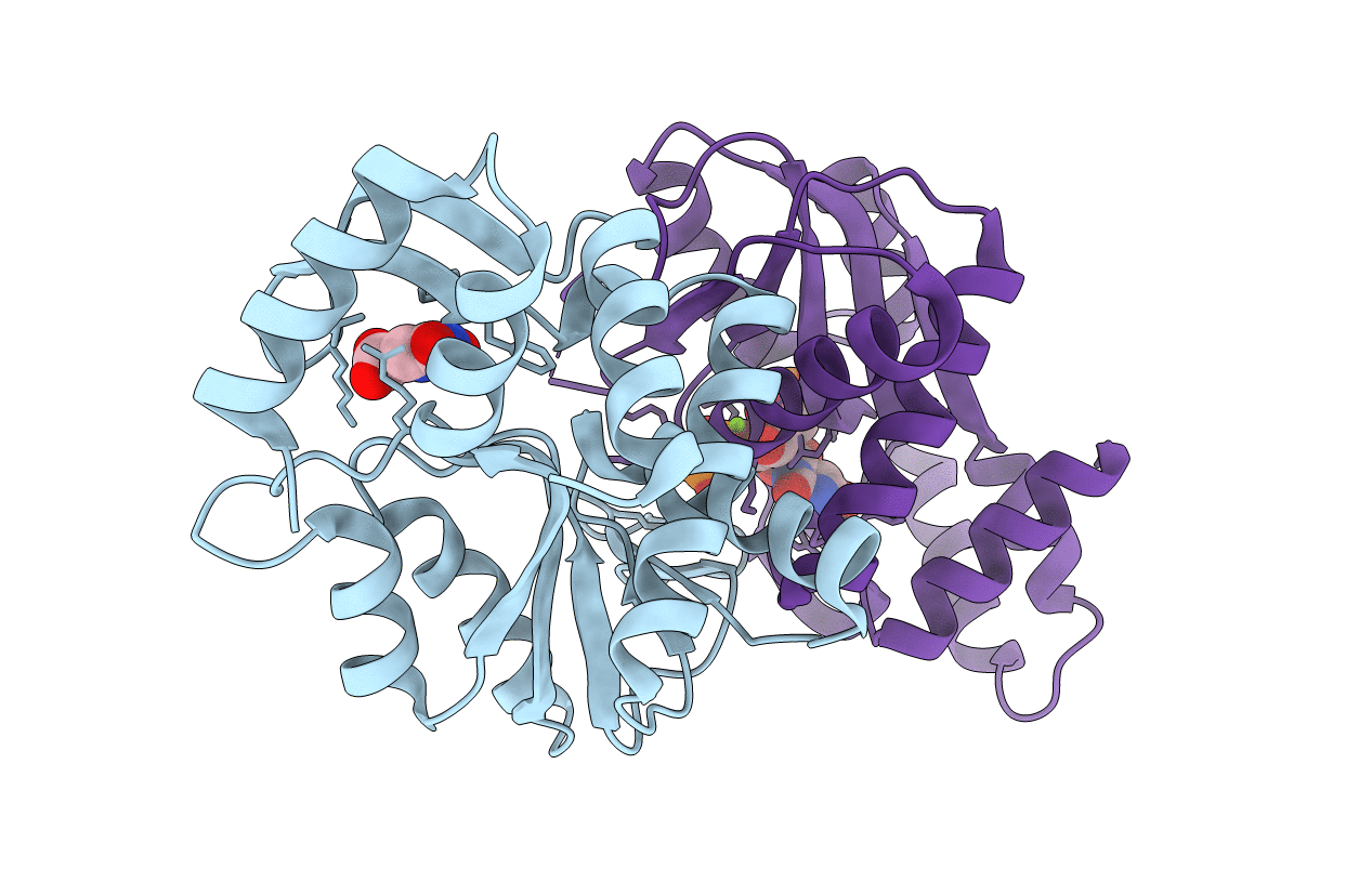 1LH0 image