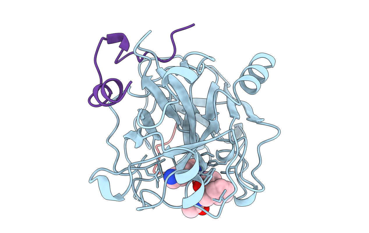 1LHF image