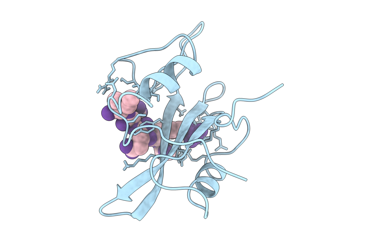 1LKK image