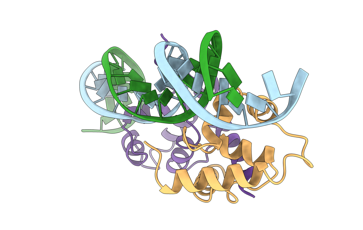 1LMB image