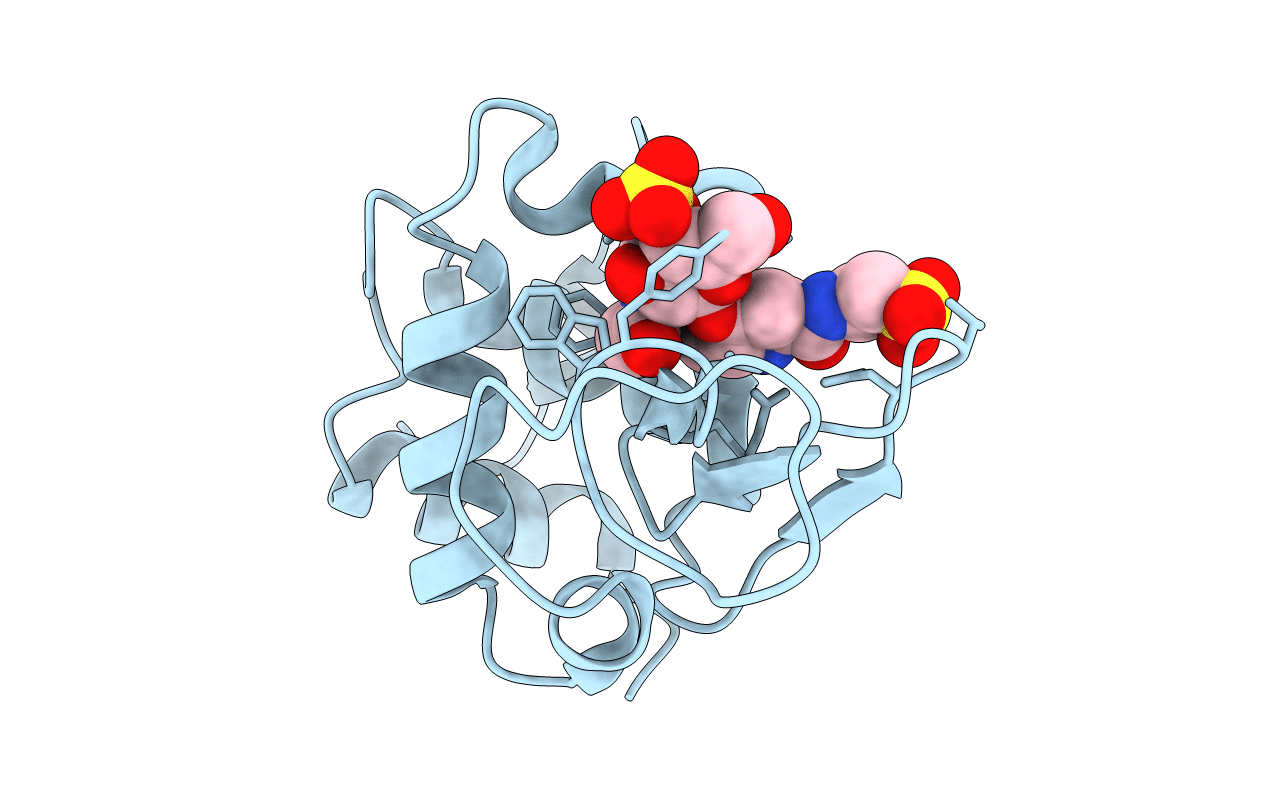 1LMC image