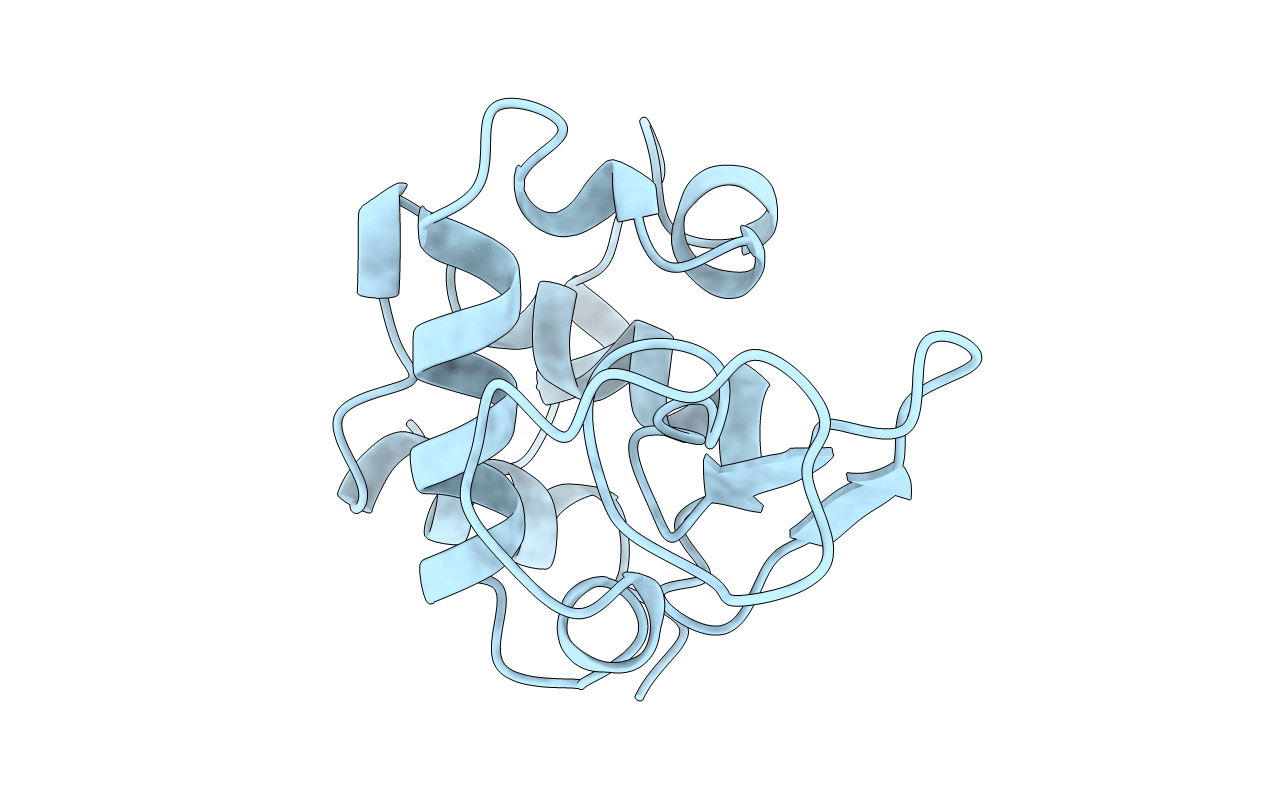 1LMN image