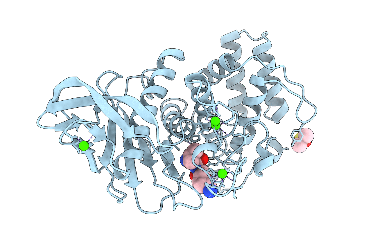 1LNB image