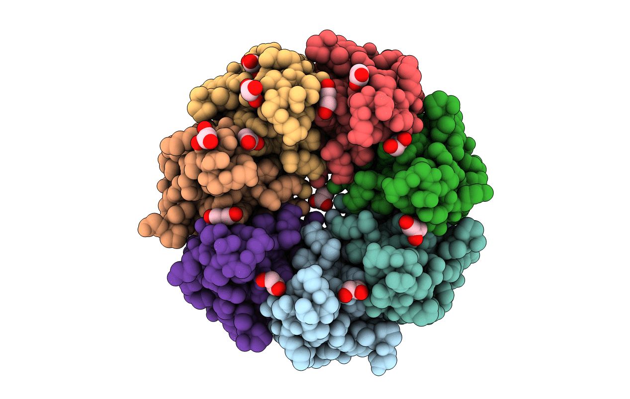 1LNX image