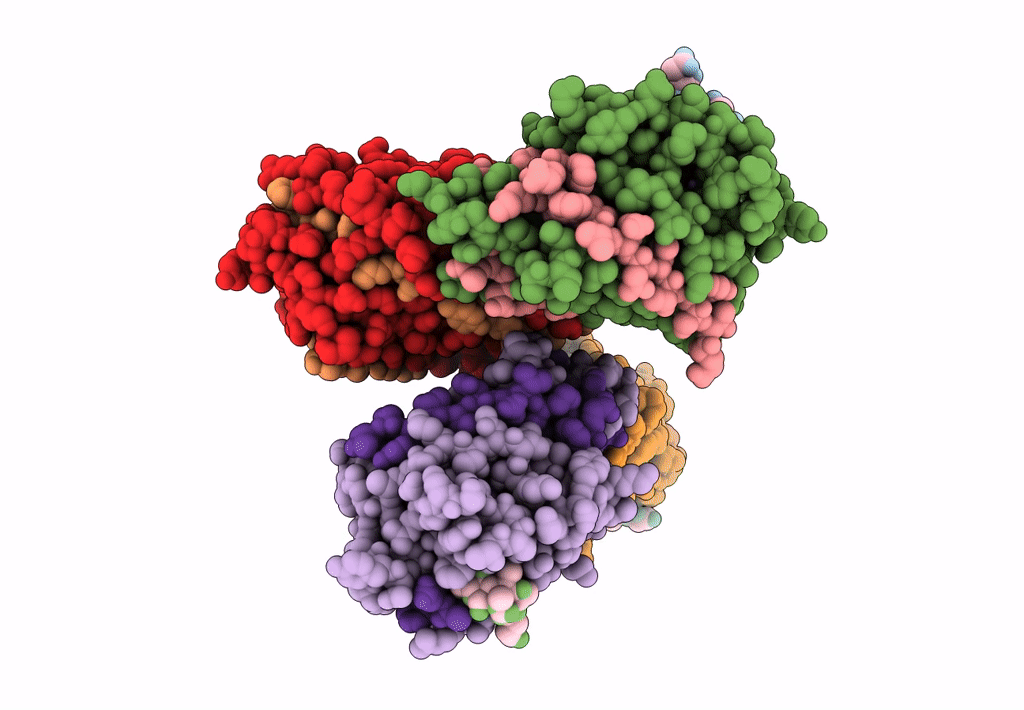 1LOC image