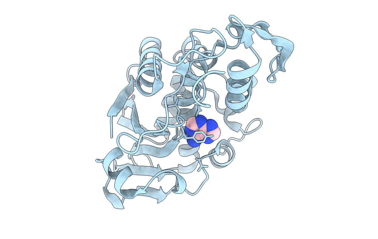 1LPD image
