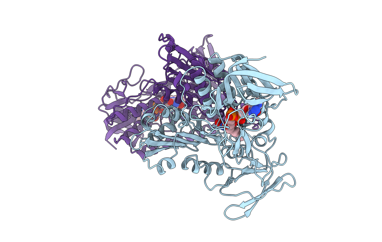 1LPF image
