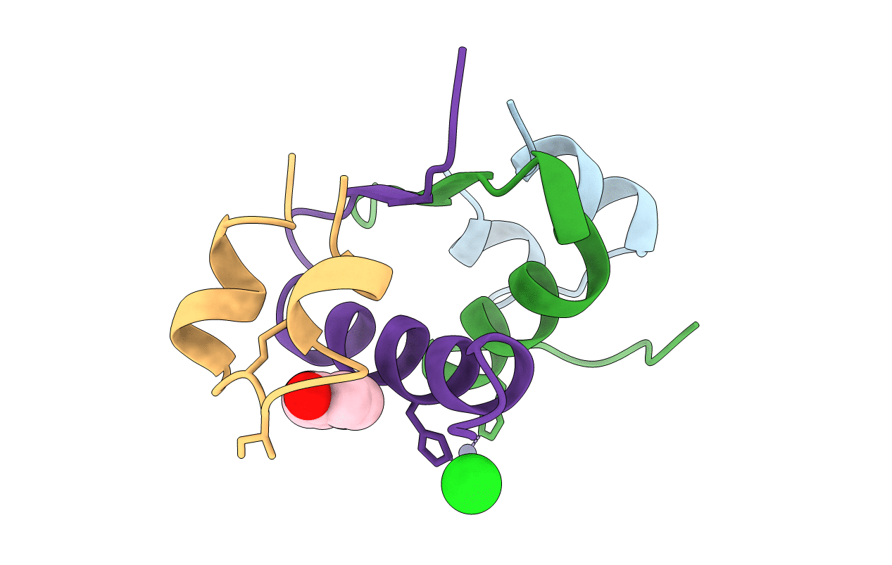 1LPH image