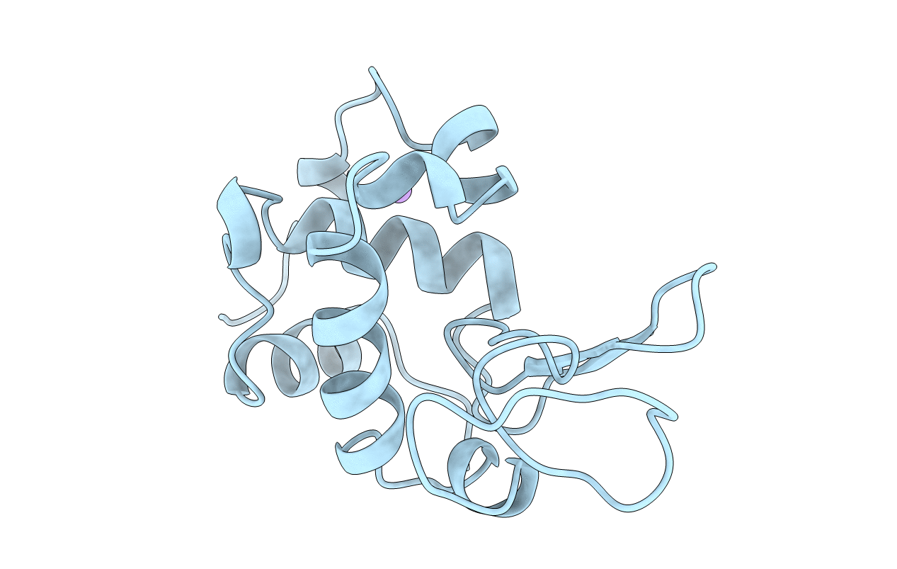 1LPI image