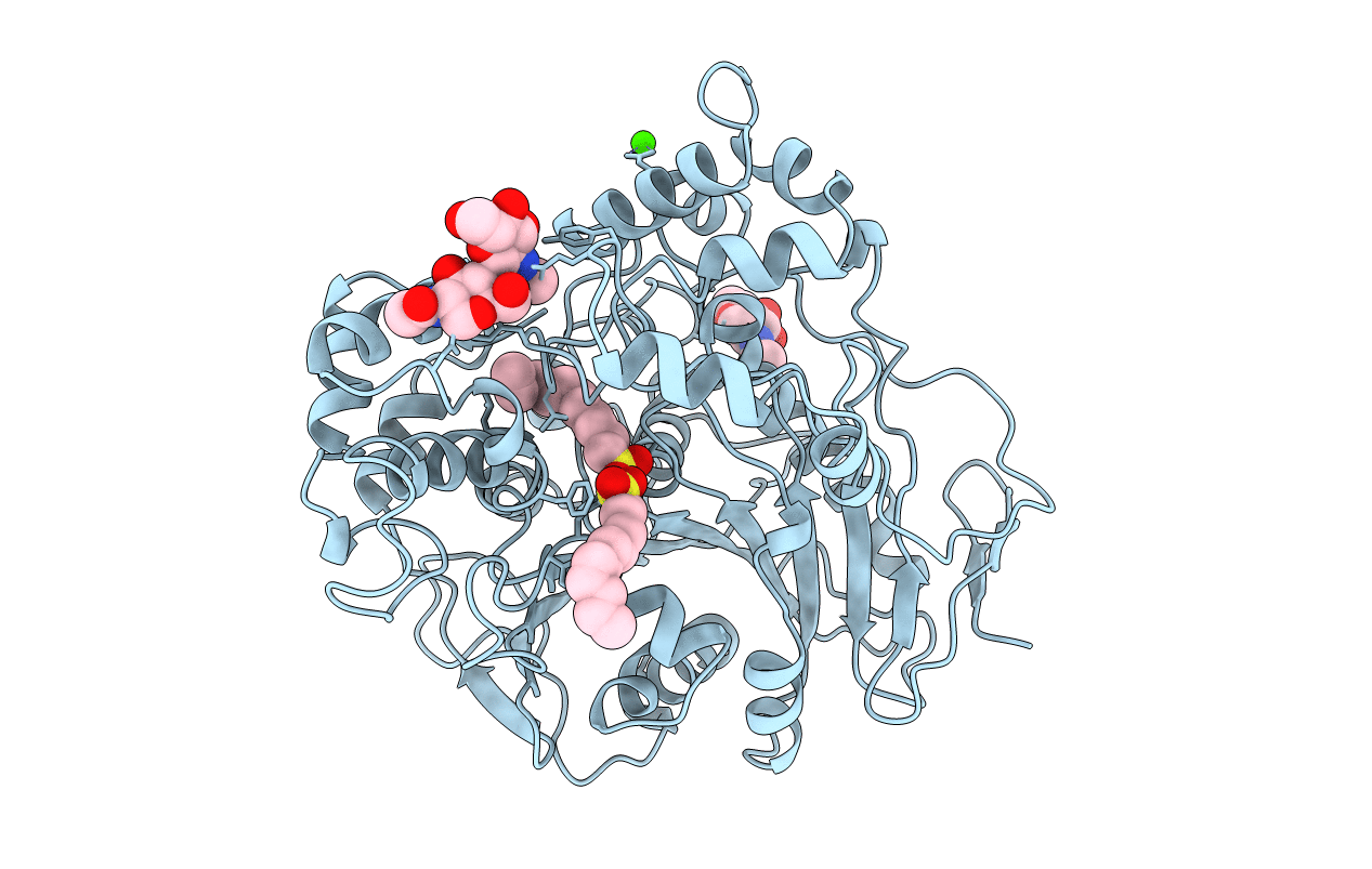 1LPN image