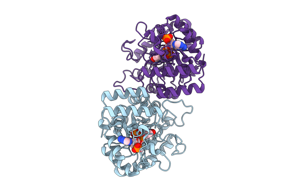 1LQA image