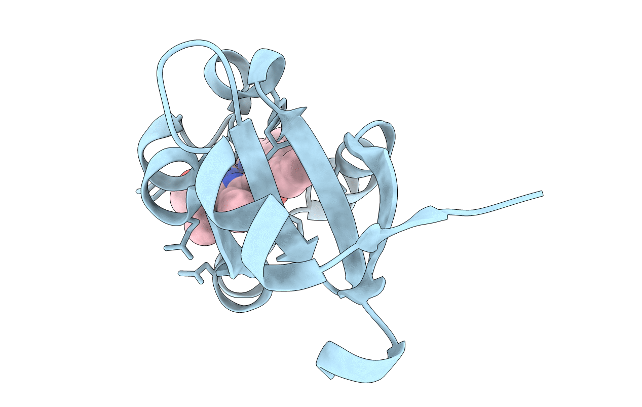 1LR6 image