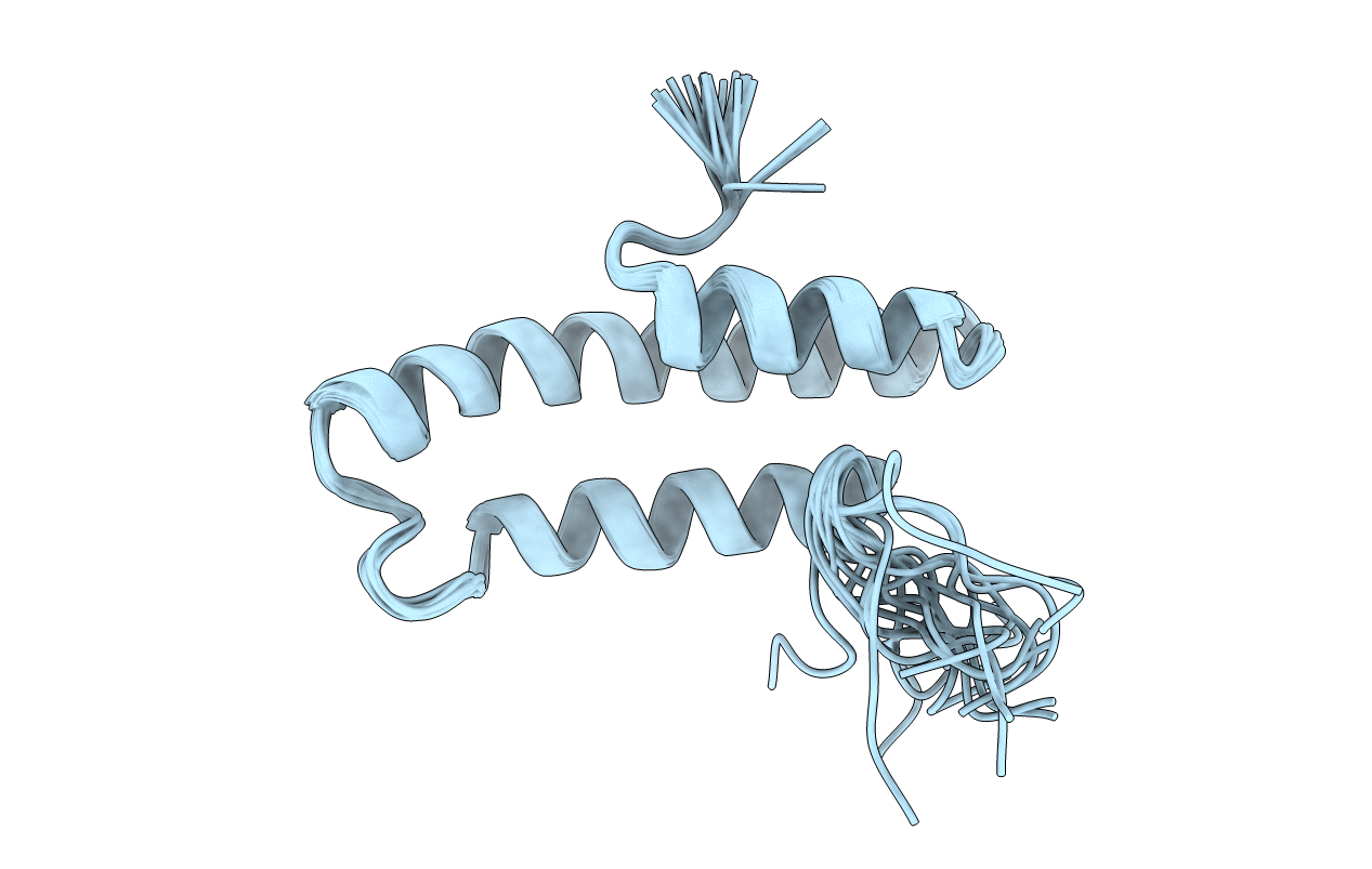 1LRE image