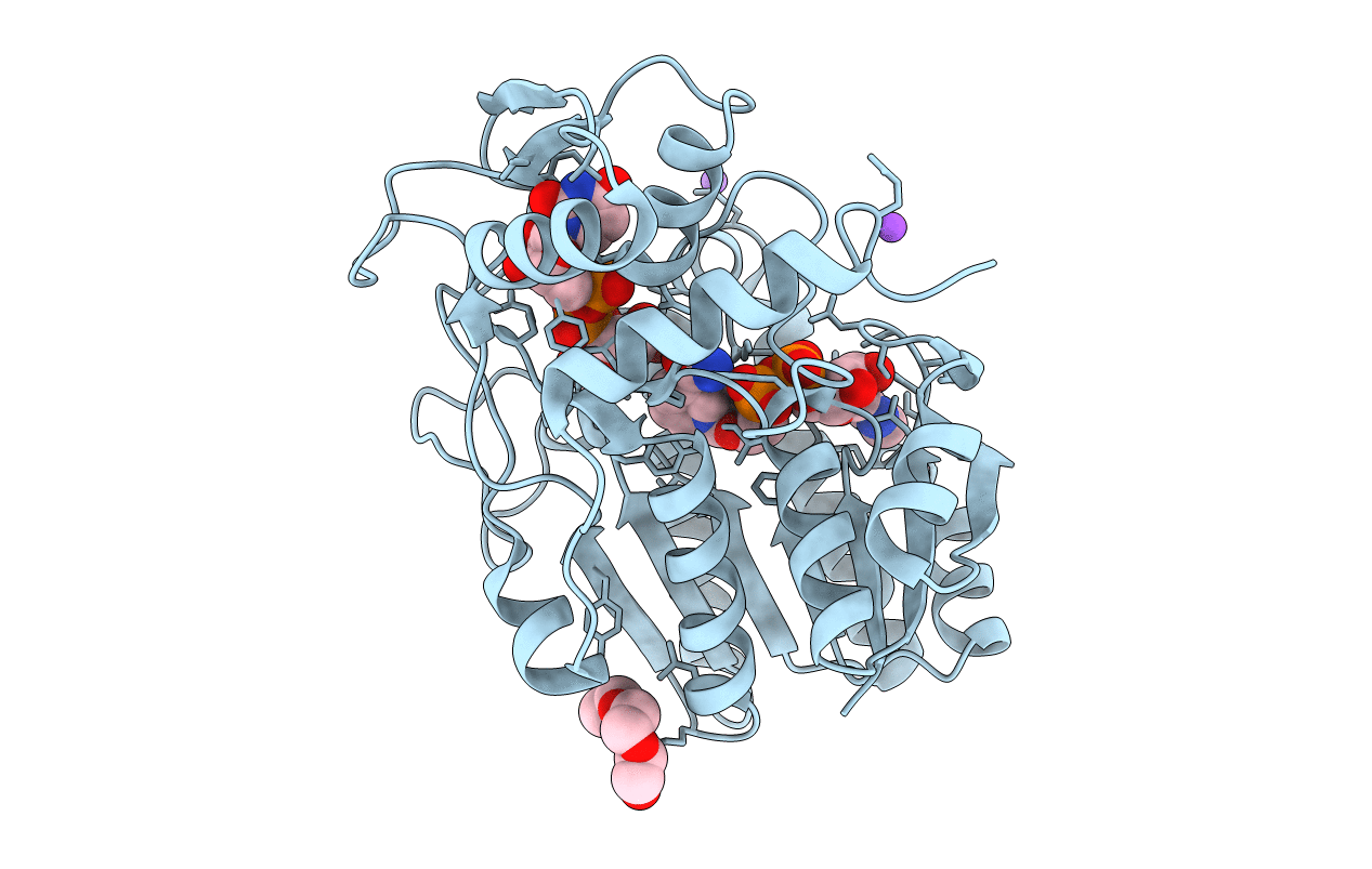1LRL image