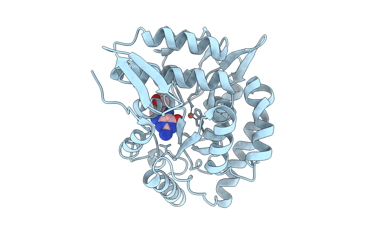 1LRM image